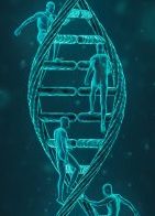 Treppenbau ist unsere DNA